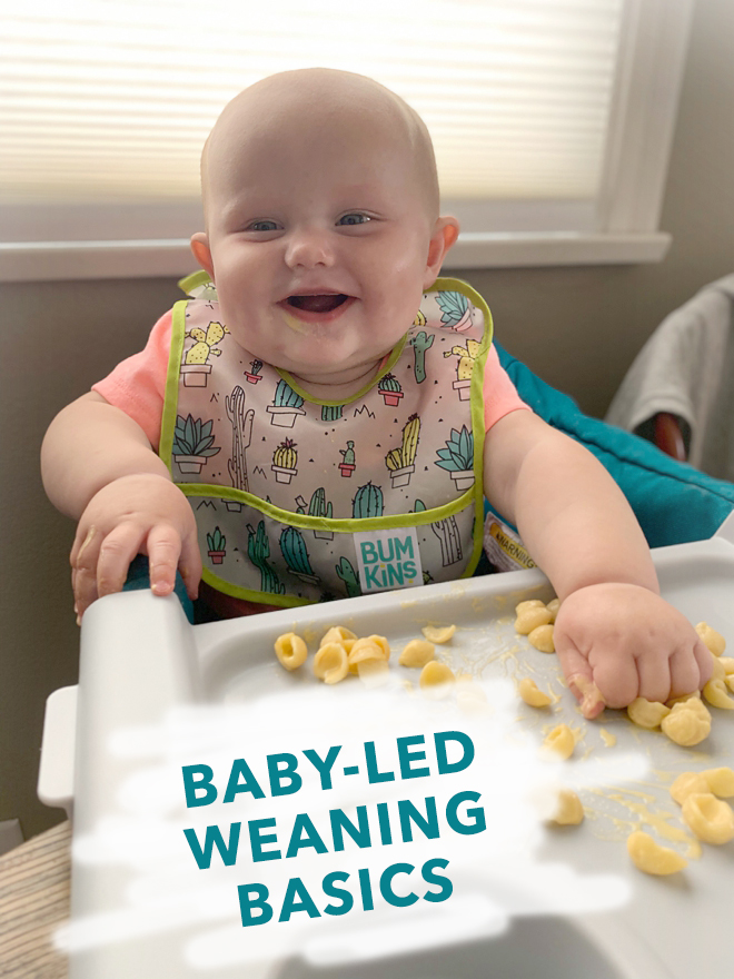 Baby-Led Weaning 60 First Foods Printable List - Something ...