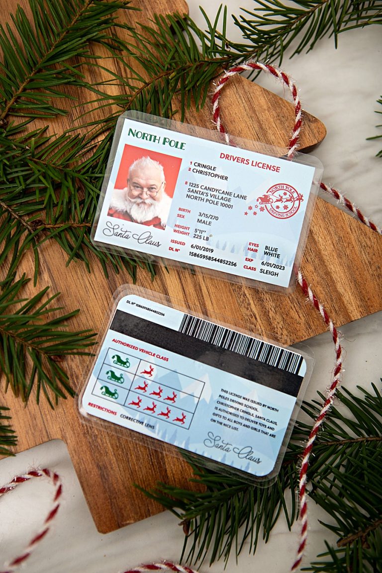 Printable Santa’s Driver’s License File Something Turquoise Digital